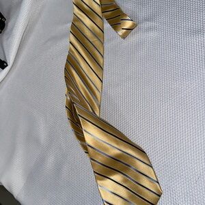 Classic Gold and Blue Striped Tie